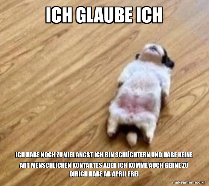 ich glaube ich ich habe noch zu viel angst ich bin schüchtern und habe keine art menschlichen