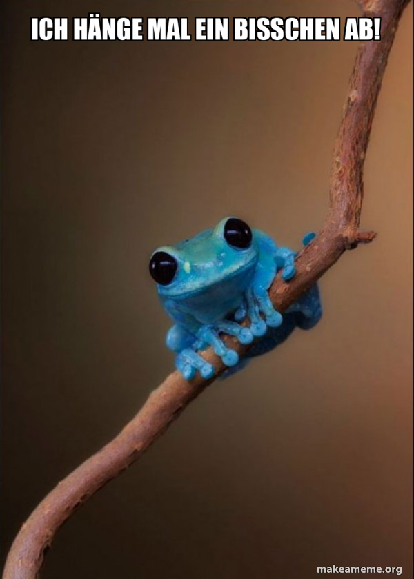 Ich hänge mal ein bisschen ab! Small Fact Frog Make a Meme