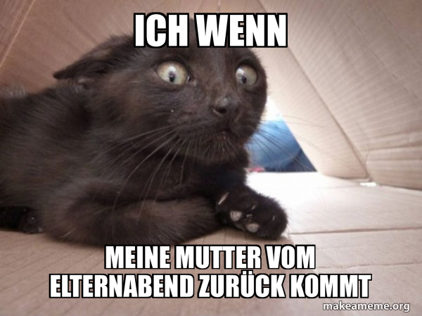 Wenn Ich Meiner Mutter Ein Meme Zeige makeameme.org