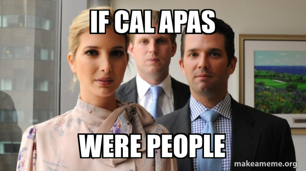 The Trump Kids Eric, Donald Jr and Ivanka meme