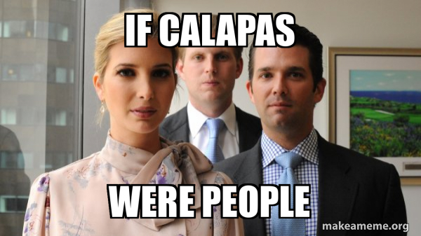 The Trump Kids Eric, Donald Jr and Ivanka meme