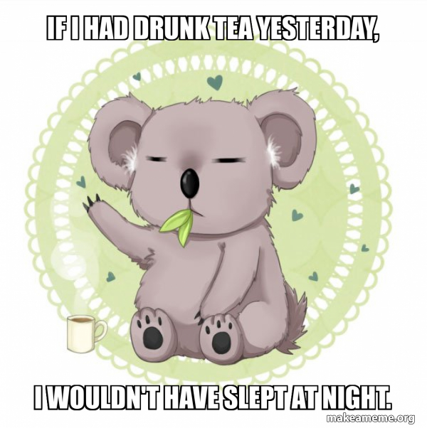 Aussie Koala doing the night shift meme