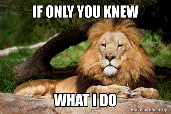 Contemplative Lion meme