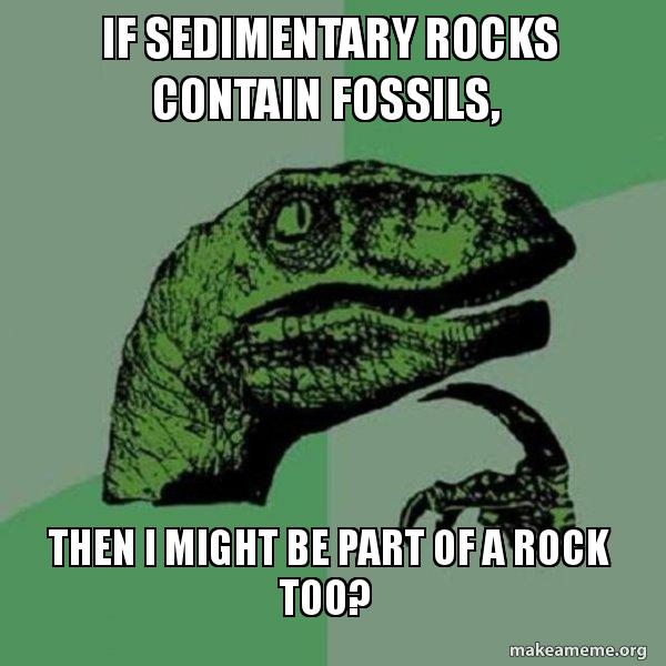 If sedimentary rocks contain fossils, then I might be part of a rock ...