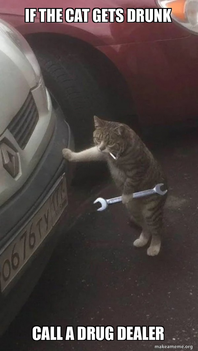 If the cat gets drunk Call a drug dealer - Mechanic Cat Meme Generator