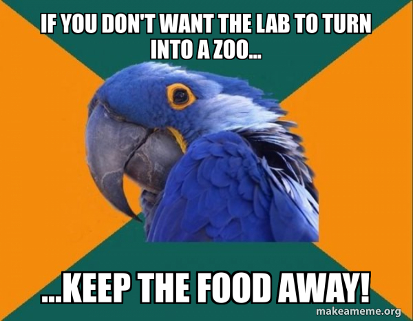 Paranoid Parrot meme