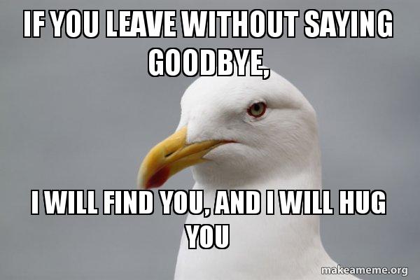 If you leave without saying goodbye, I will find you, and I will hug ...