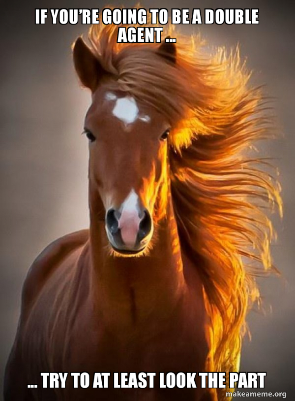 Ridiculously photogenic horse meme