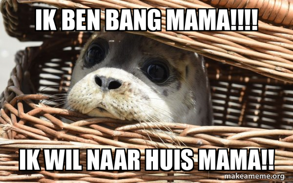 Impending Doom Seal meme