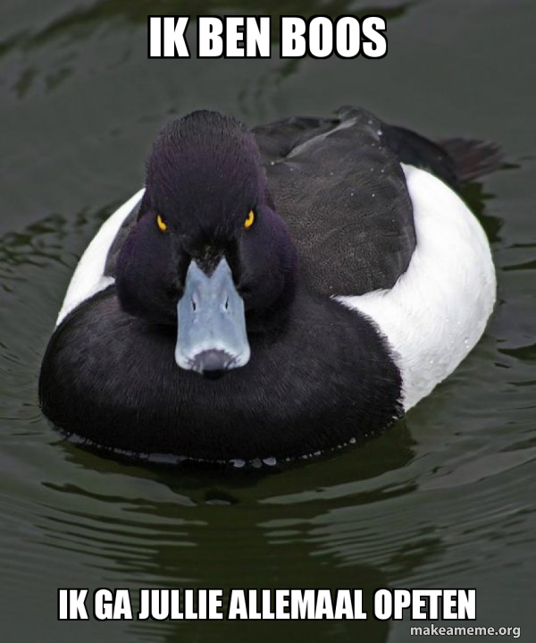Revenge Duck ( Angry Advice Duck ) meme