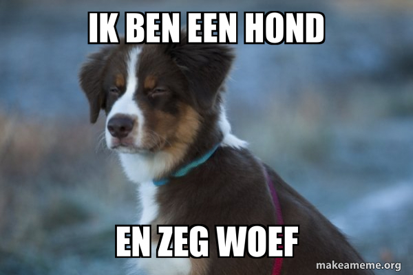 Unsure Dog meme