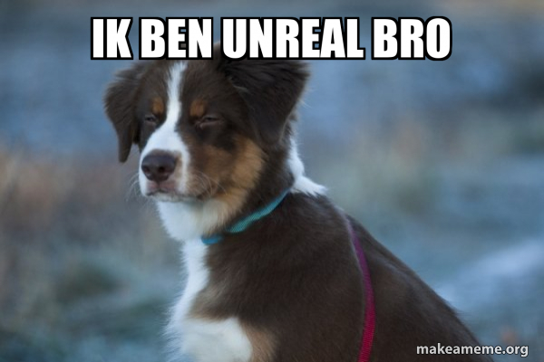 Unsure Dog meme