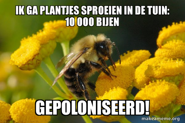 Good Guy Bee meme