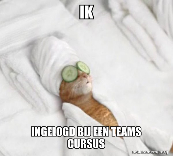 Pampered Cat Meme meme