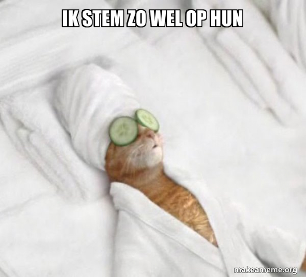 Meme Hun Ik stem zo wel op hun - Pampered Cat Meme Meme Generator