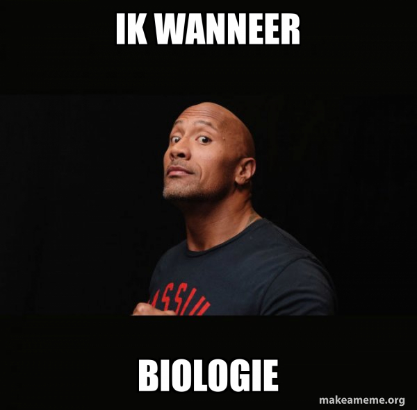 Dwayne Johnson (The Rock) meme