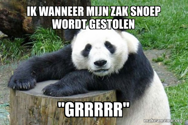 Confession Panda meme