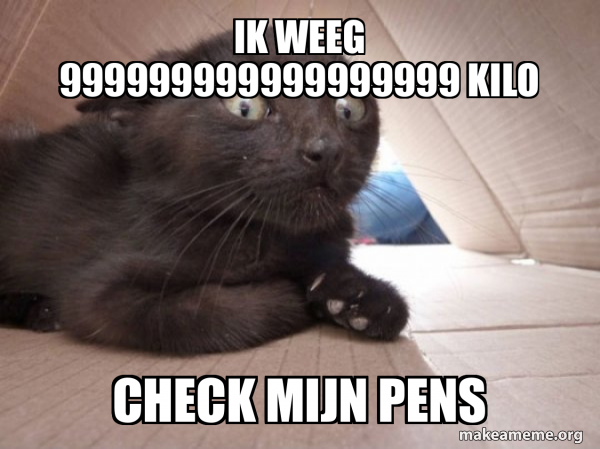 ik weeg 999999999999999999 kilo check mijn PENS - Schitzo Cat Meme ...