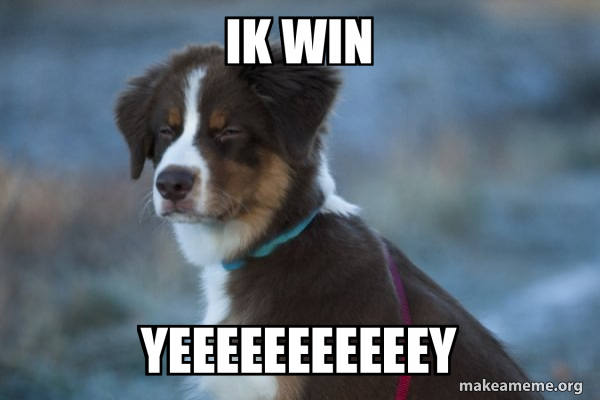 Unsure Dog meme