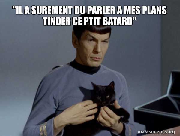 Spock and Cat Meme meme