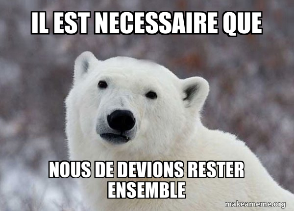 Popular Opinion Polar Bear meme