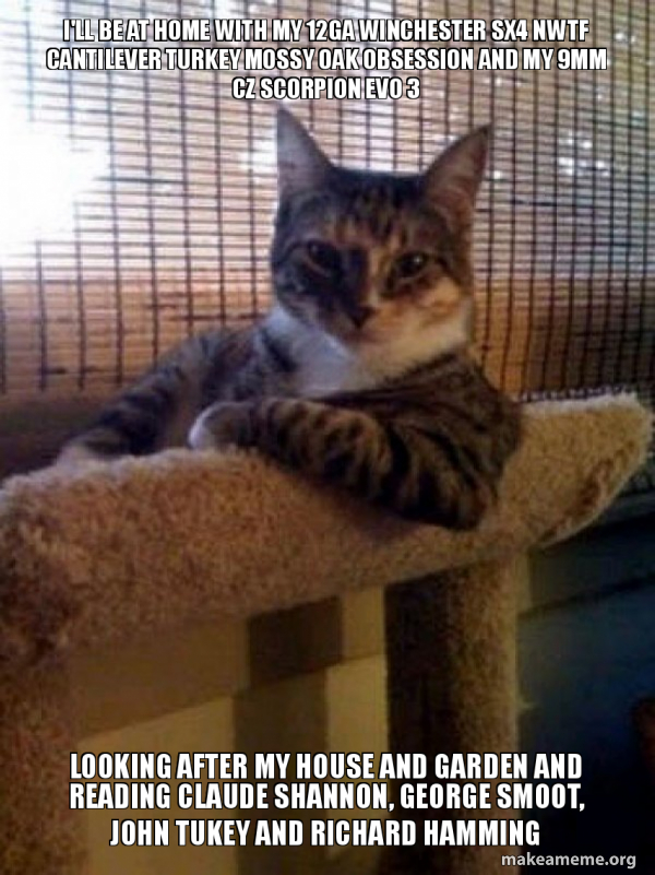 The Most Interesting Cat in the World meme