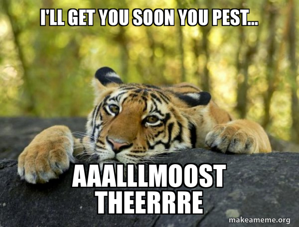 Confession Tiger meme