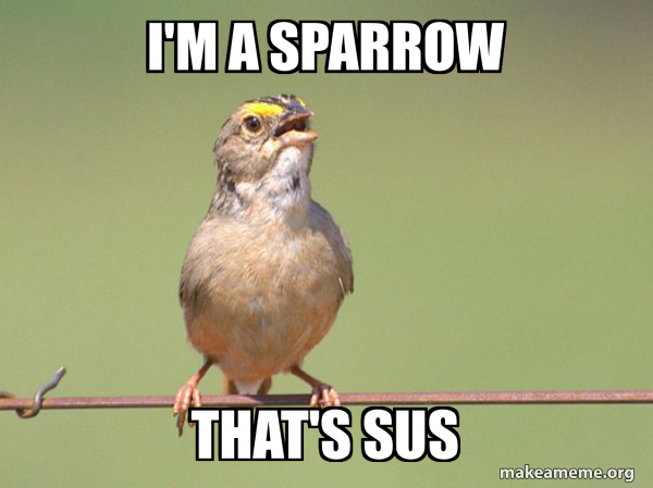 Common Opinion Sparrow meme