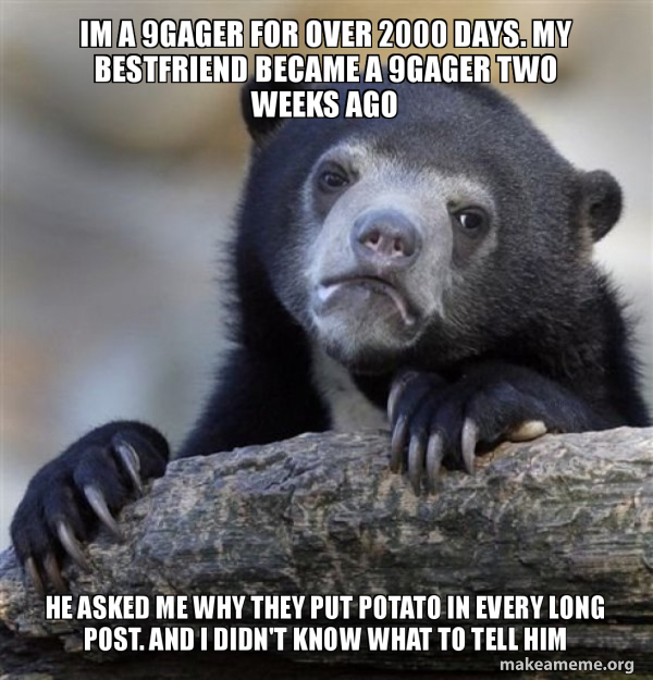 Confession Bear meme