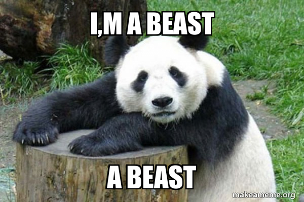 Confession Panda meme