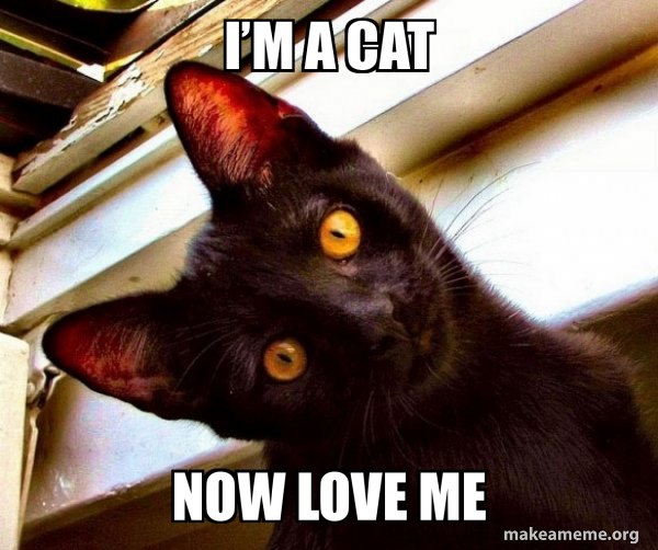 Iâ€™m a cat now LOVE ME - Overly Attached Cat | Make a Meme