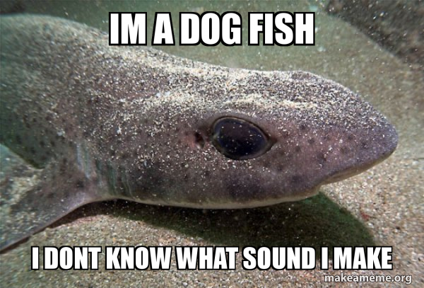 Dirty Joke Dogfish meme