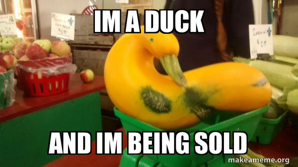 Gourd Advice Mallard meme