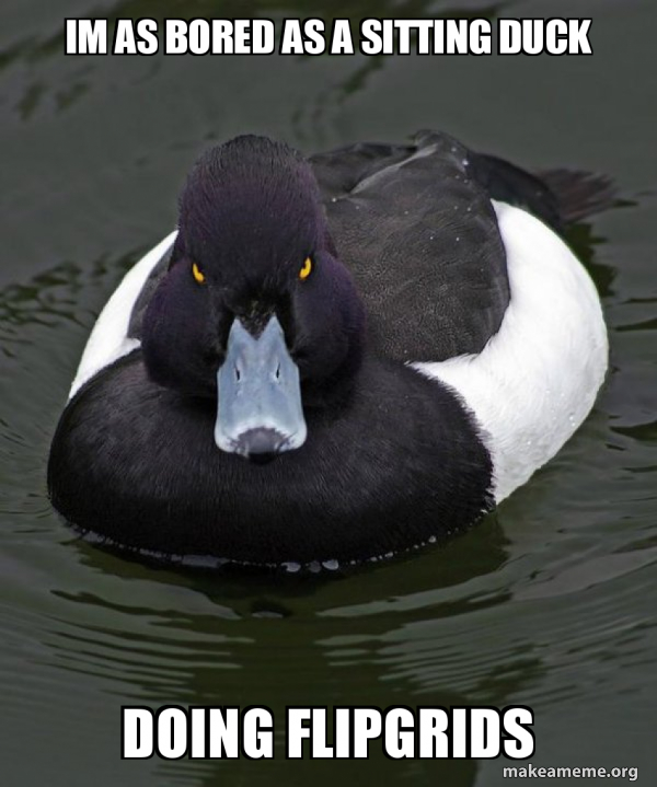 Revenge Duck ( Angry Advice Duck ) meme