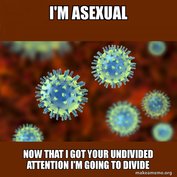 I'm asexual now that I got your undivided attention I'm going to divide