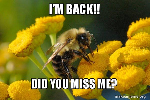 Is Back Meme I’m Back!! Did You Miss Me? - Good Guy Bee Meme Generator