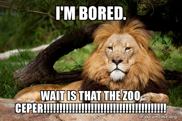 Contemplative Lion meme