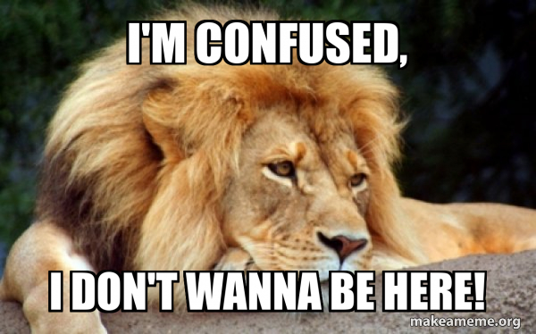 Confession Lion meme