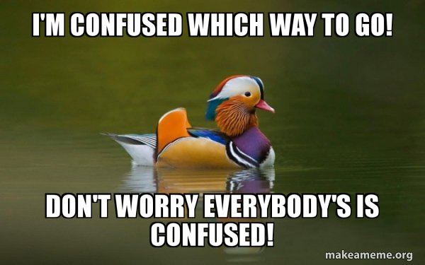 Fashionable Advice Mallard meme