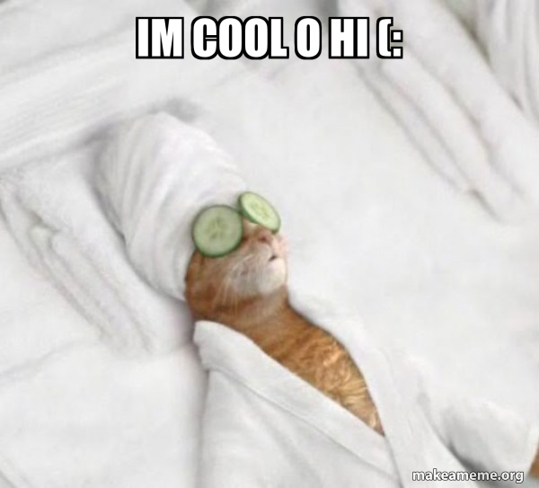 Pampered Cat Meme meme