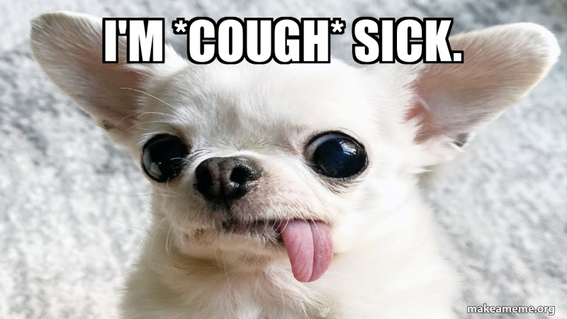 I'm *cough* sick. Meme Generator