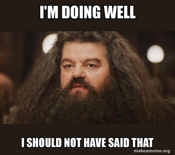 Hagrid - I should not have said that meme