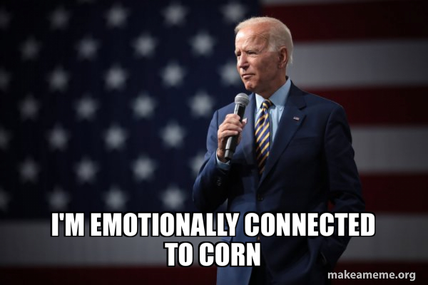 Joe Biden 2020 meme