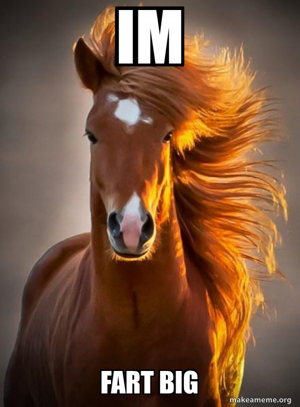 Ridiculously photogenic horse meme