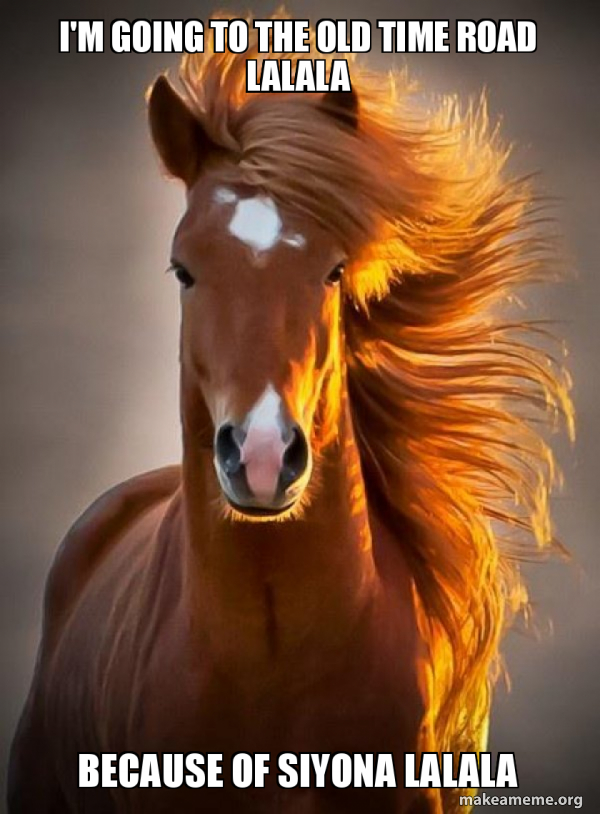 Ridiculously photogenic horse meme