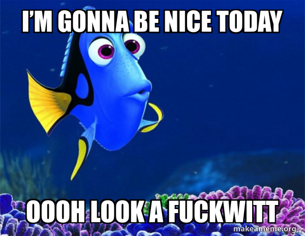 Dory from Nemo  (5 second memory) meme