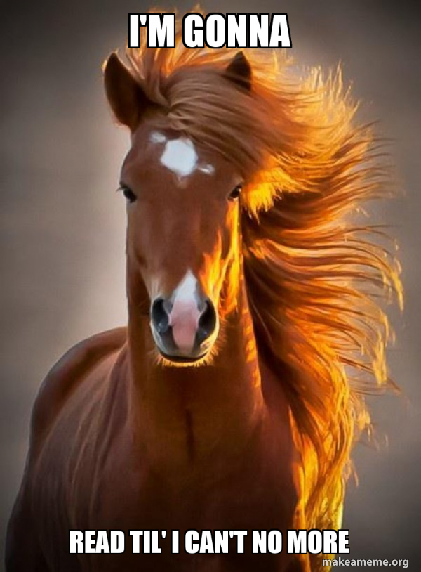 Ridiculously photogenic horse meme