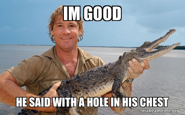 Steve irwin meme