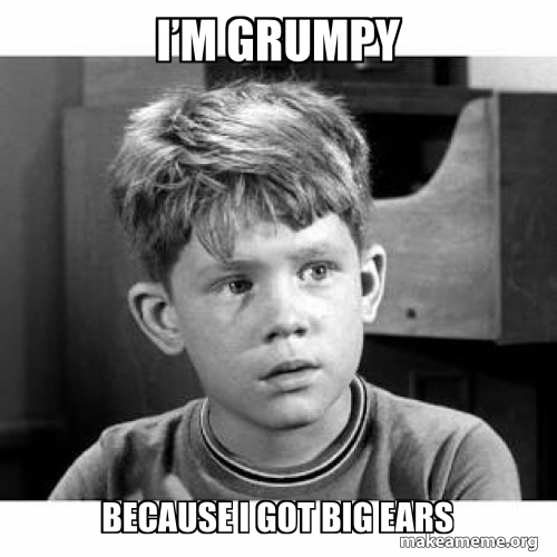 I’m grumpy Because I got big ears Meme Generator
