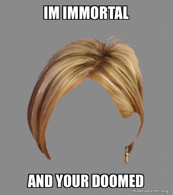 The Karen Hair meme